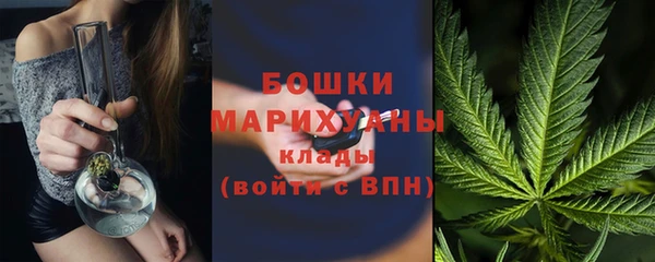 гидра Белоозёрский