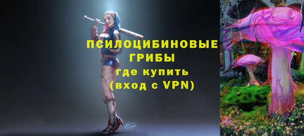 дживик Беломорск