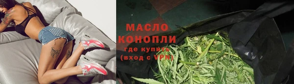 МДПВ Богородск
