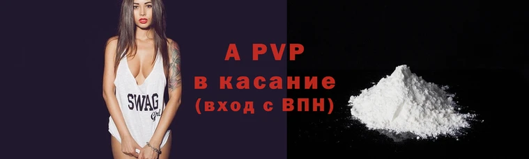 a pvp Тайга
