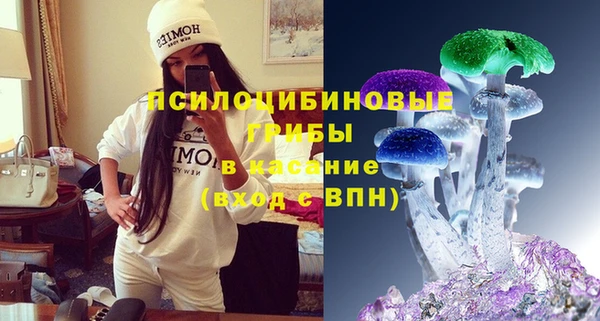 гидра Белоозёрский