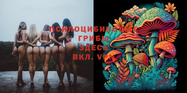 гидра Белоозёрский