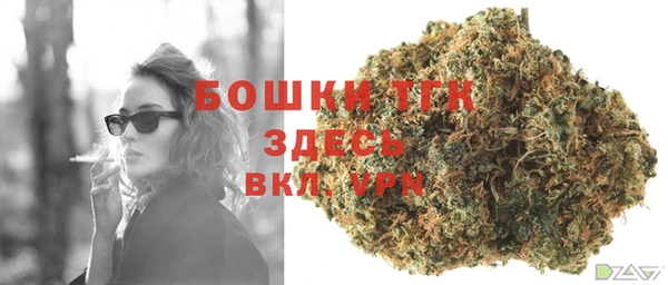гидра Белоозёрский
